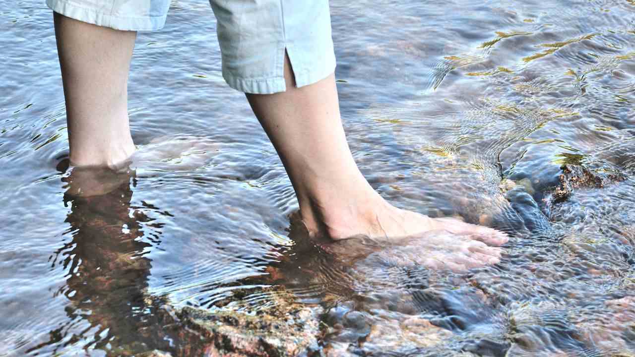 acqua del mare studi