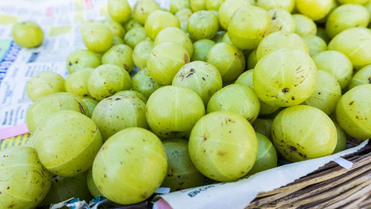 olio di amla curiosità