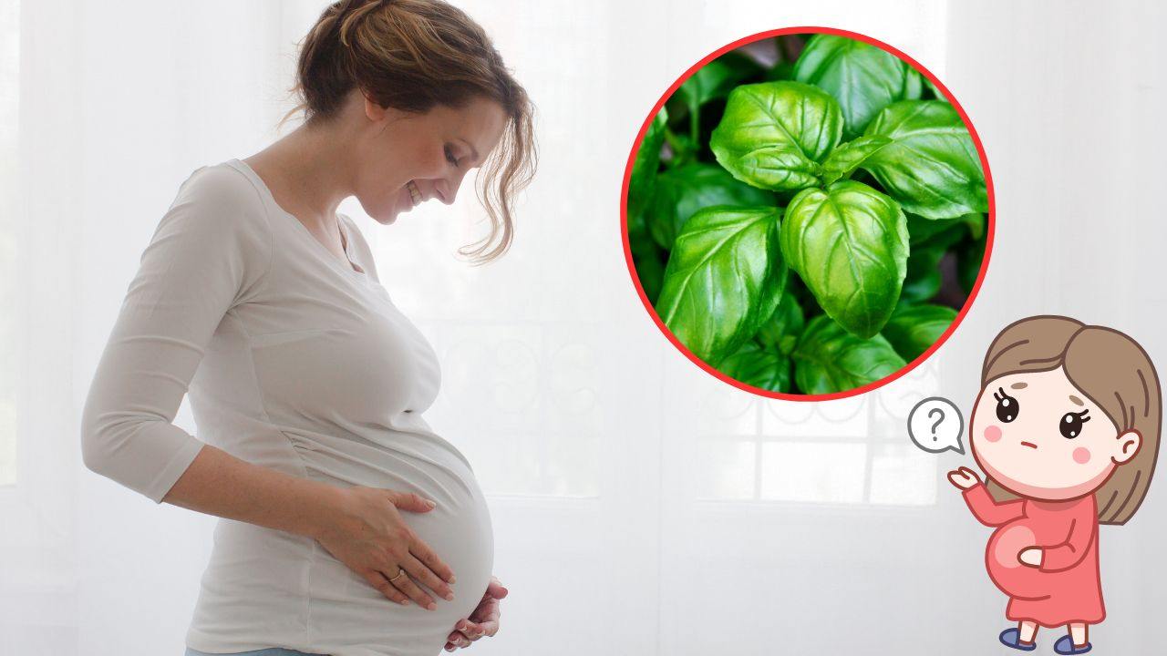 mangiare basilico in gravidanza