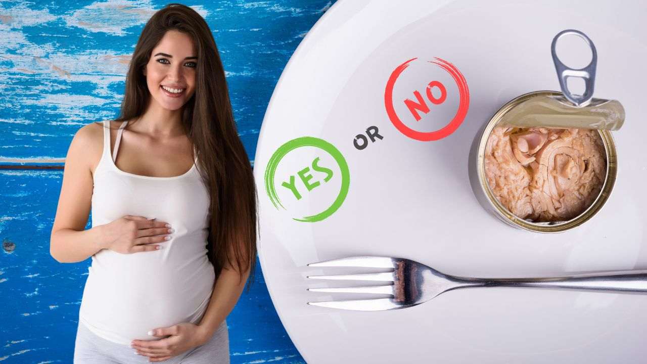 mangiare tonno scatola gravidanza