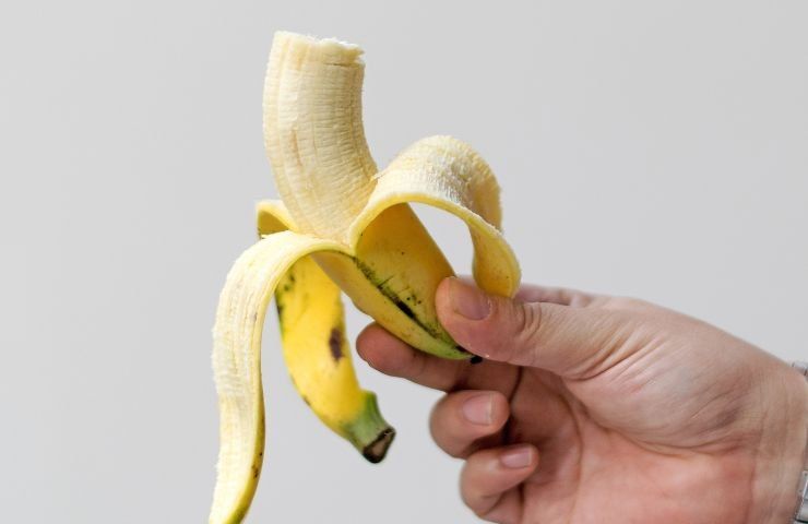 si mangia la punta della banana