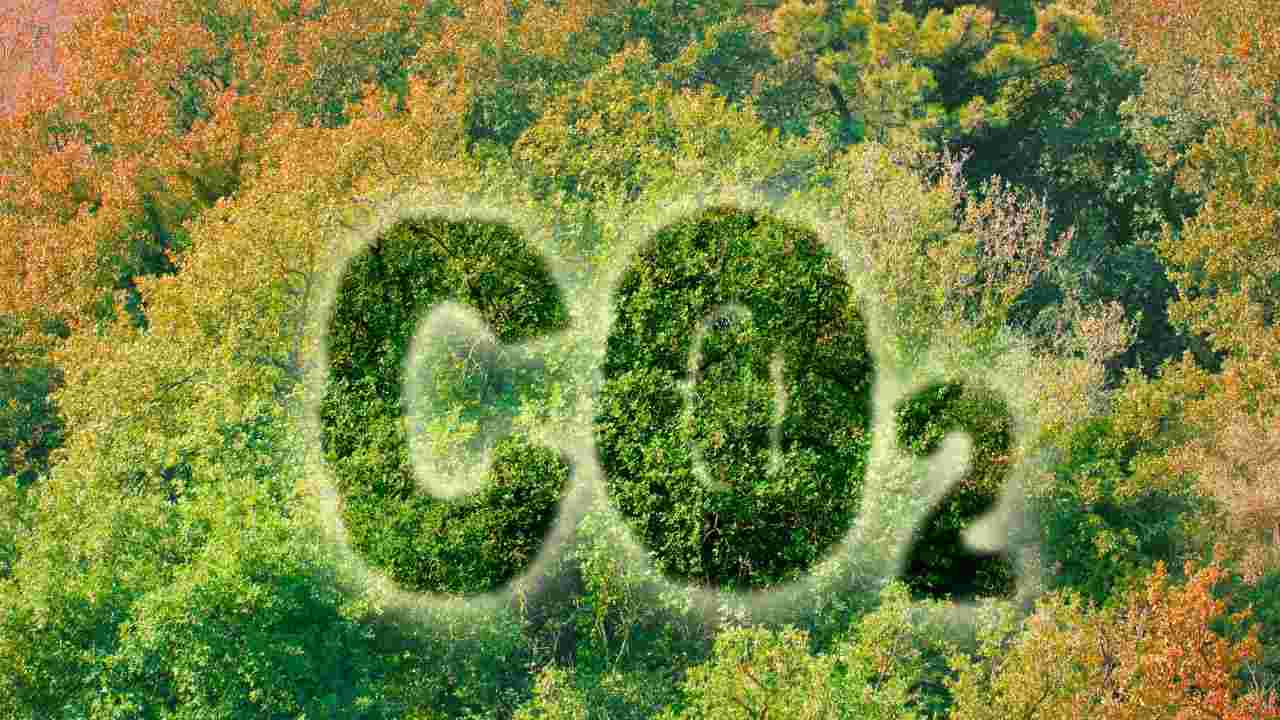 ridurre CO2