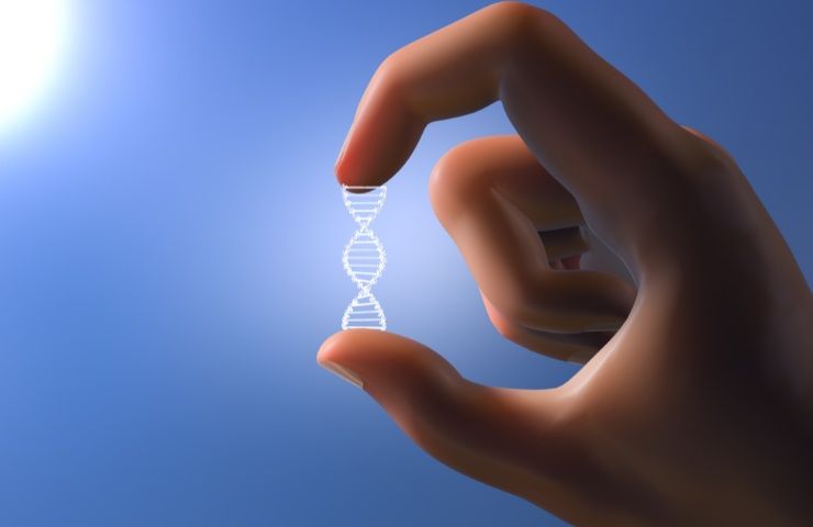 DNA oscuro e che cosa si intende per DNA spazzatura