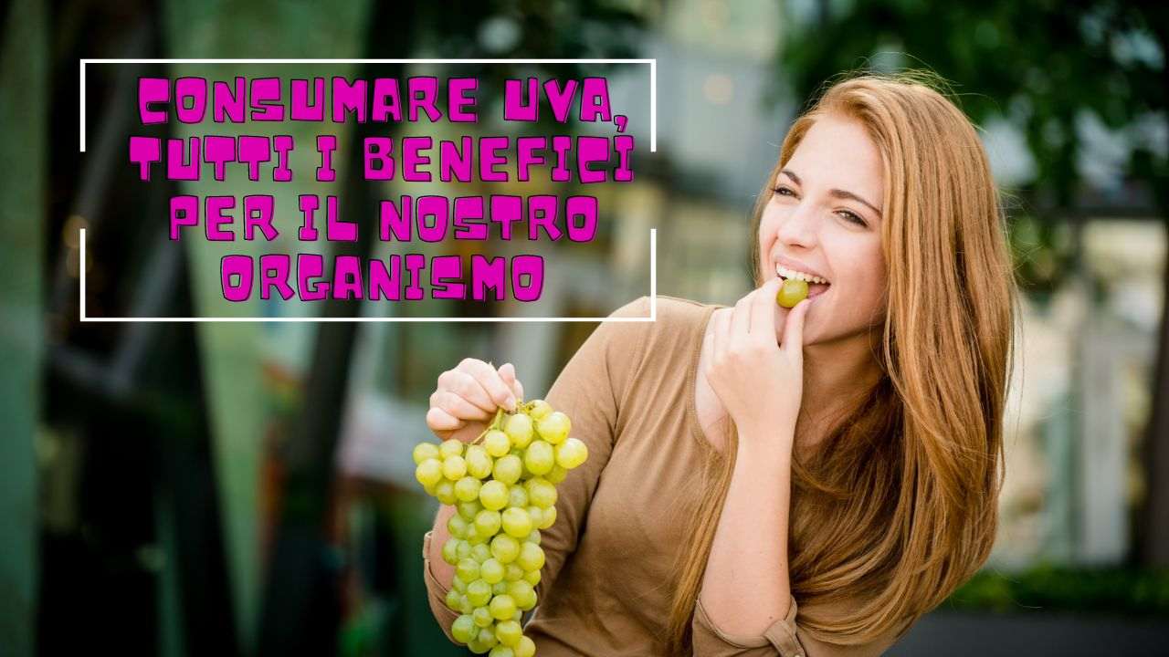 benefici organismo uva