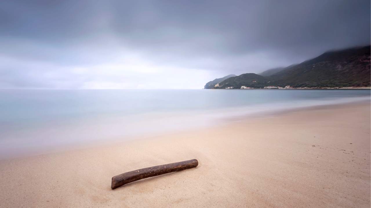 Ascoltare il silenzio è sentire un rumore, lo studio