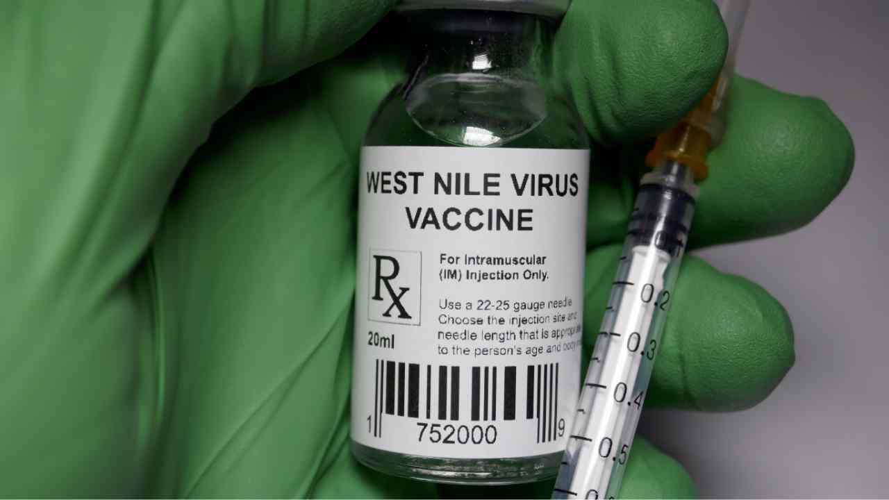 Virus West Nile nuova persona morta in Italia