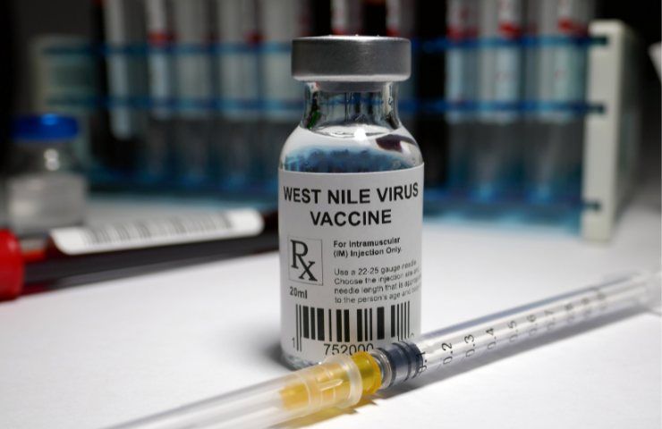 Virus West Nile nuova persona morta in Italia