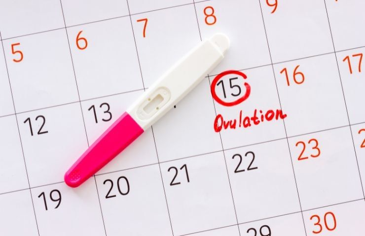 ovulazione test usa e getta