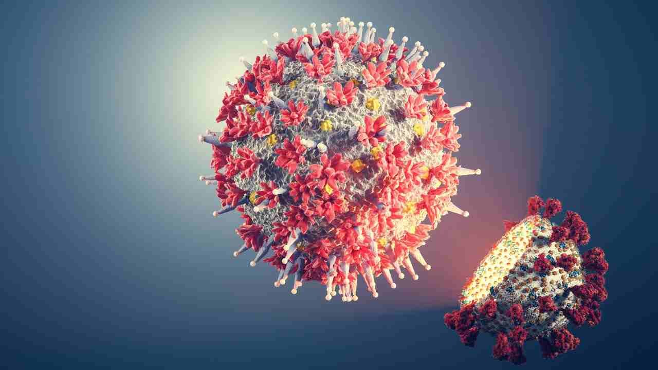 virus covid novità