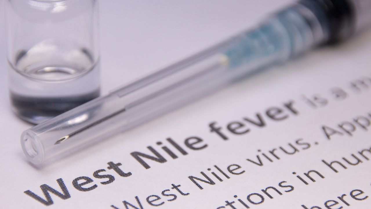 virus west nile