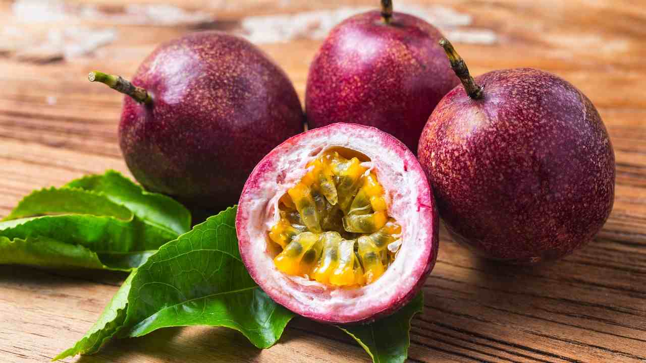 passion fruit incinta