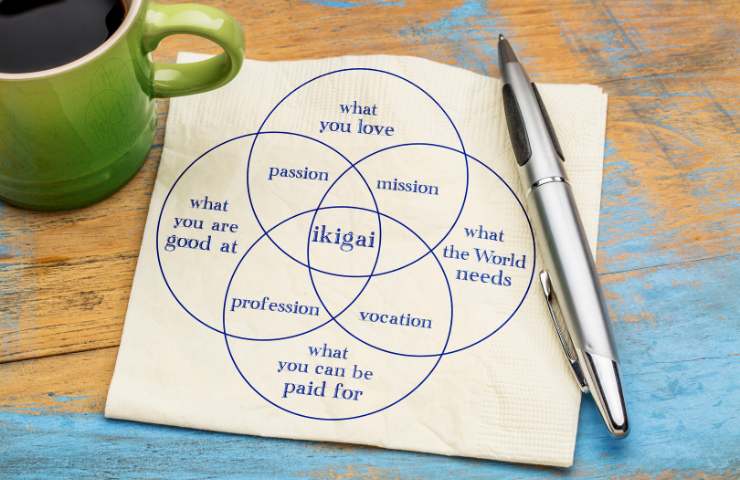 disegna 4 cerchi scopo della vita
