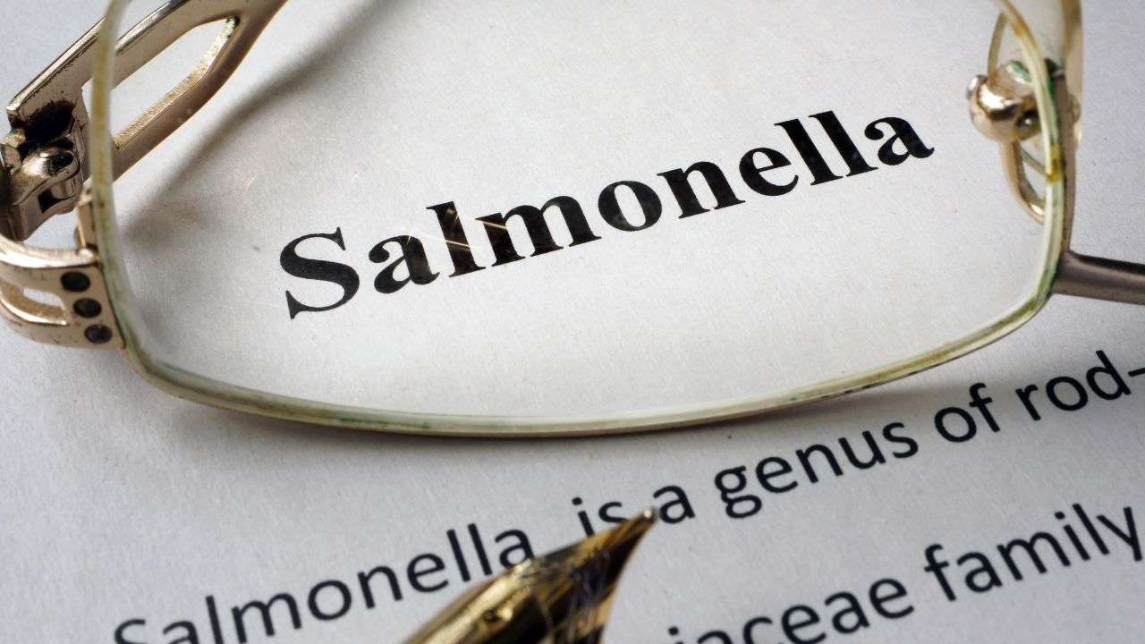 sintomi salmonella