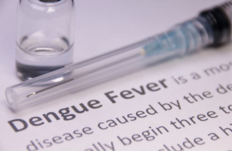 Febbre Dengue nel Lazio casi in aumento