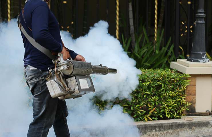 Febbre Dengue nel Lazio casi in aumento