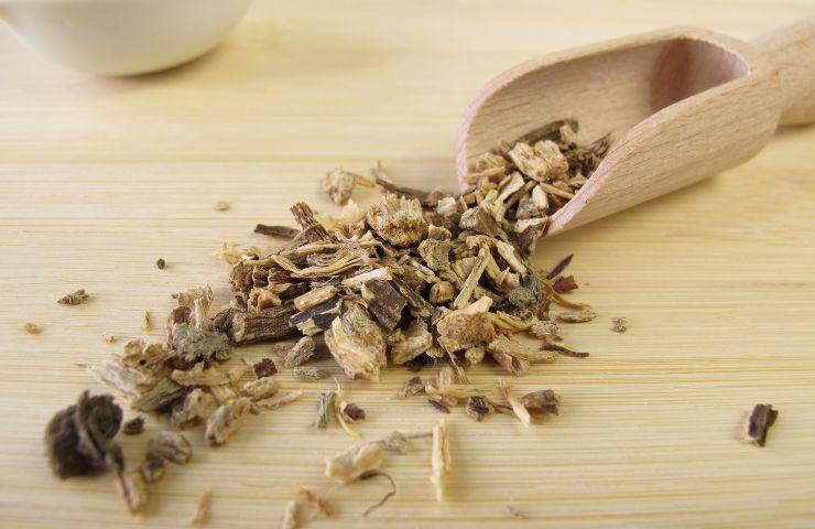 tisane per rinforzare il sistema immunitario