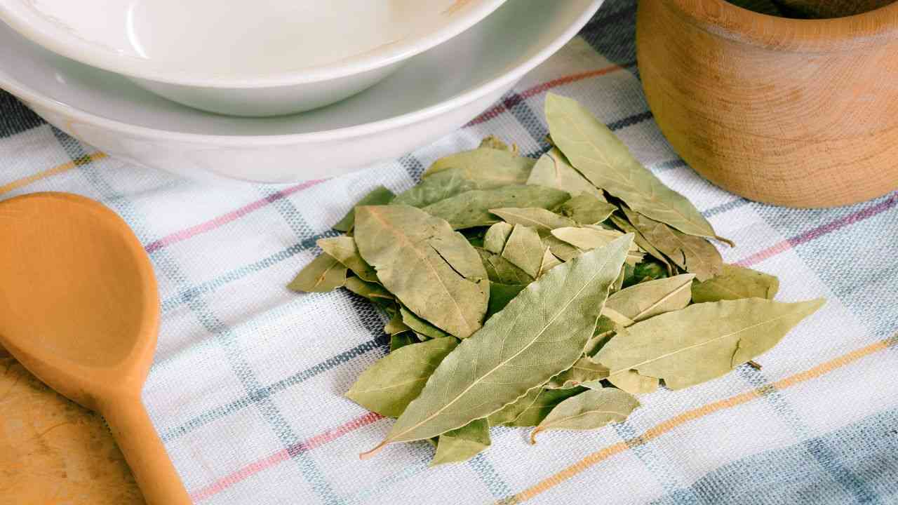 Foglie di alloro in cucina