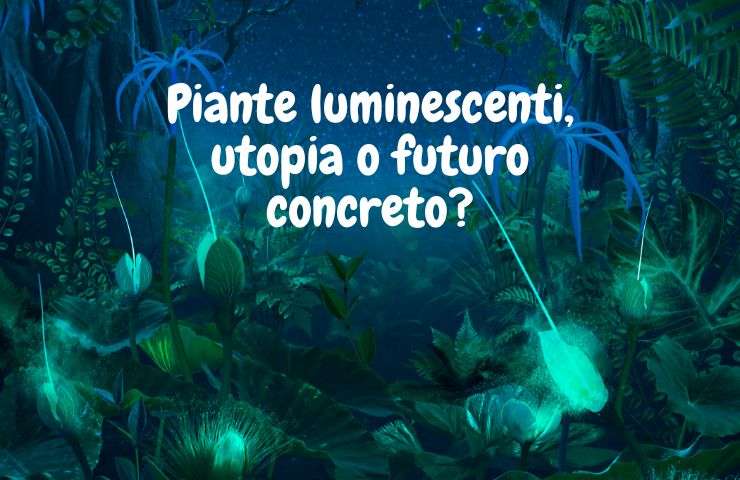 piante bioluminescenti ricerca scientifica