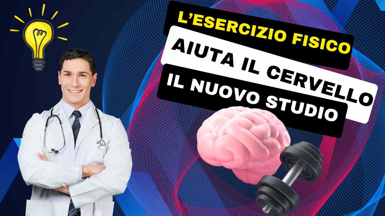 esercizio fisico modifica cervello