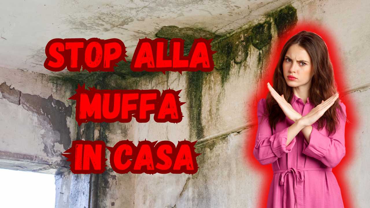 Combatti muffa casa metodo