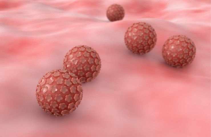 Papilloma virus nei maschi sintomi e diagnosi e come riconoscerlo