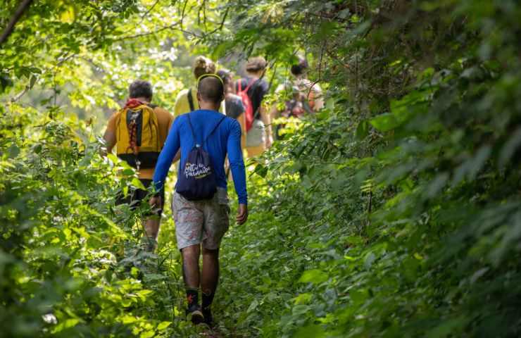 benefici passeggiata natura