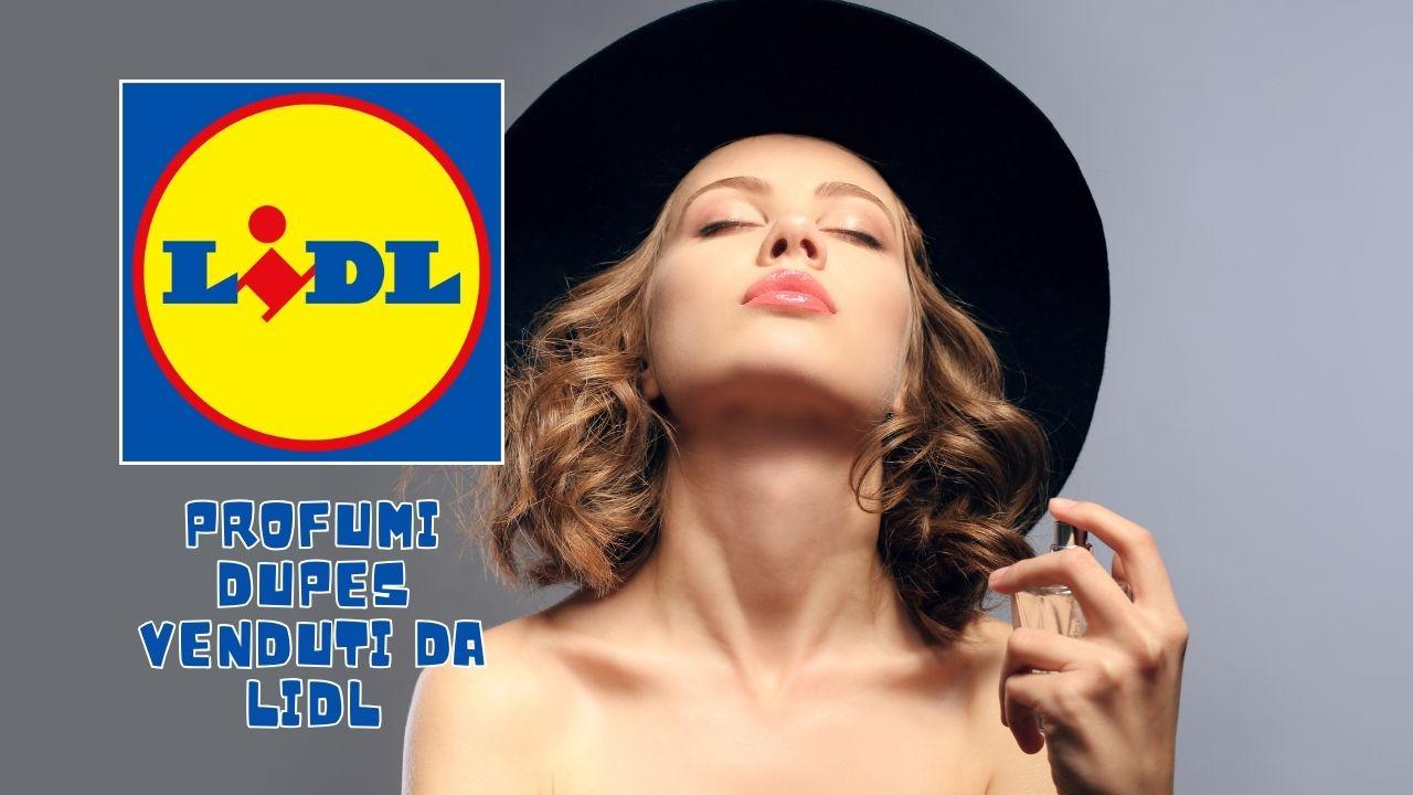 profumi dupes Lidl