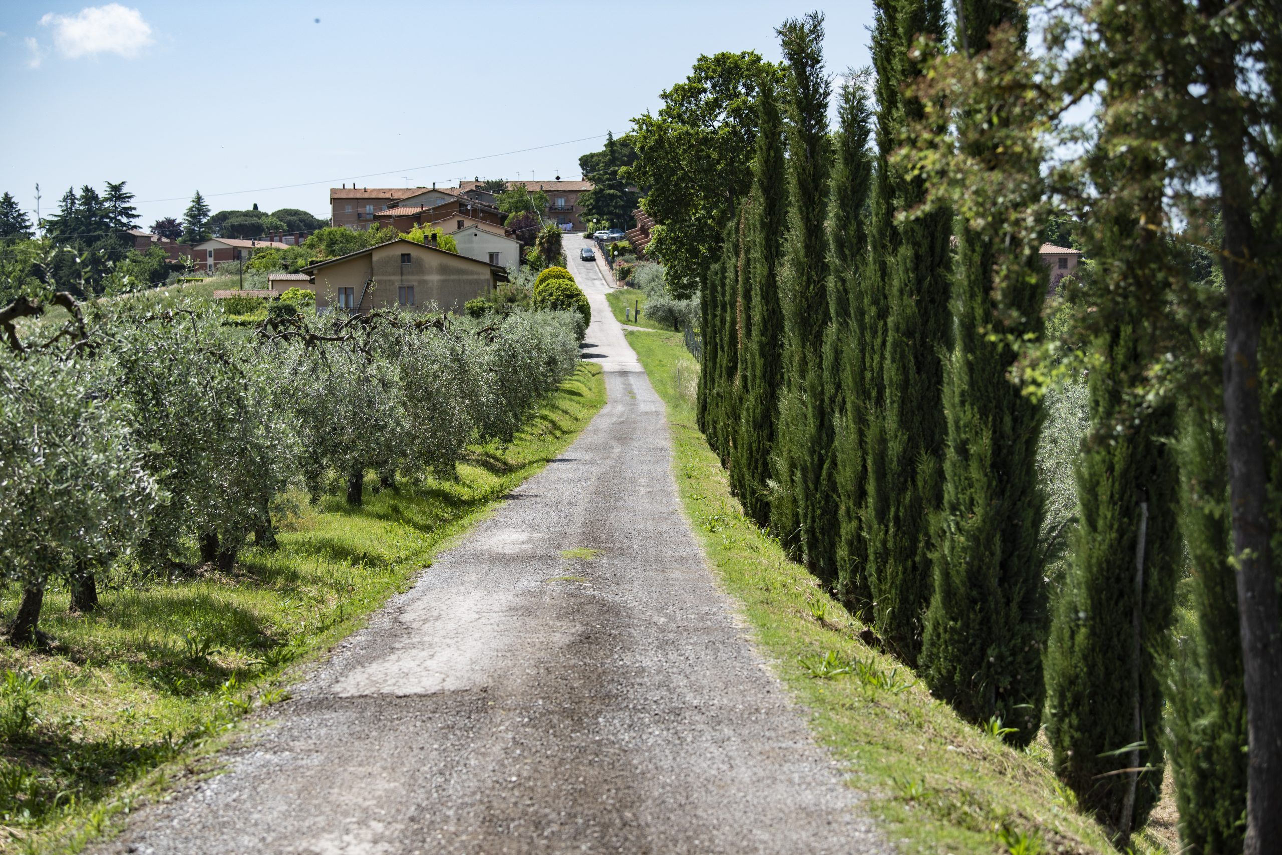 eco therapy benefici