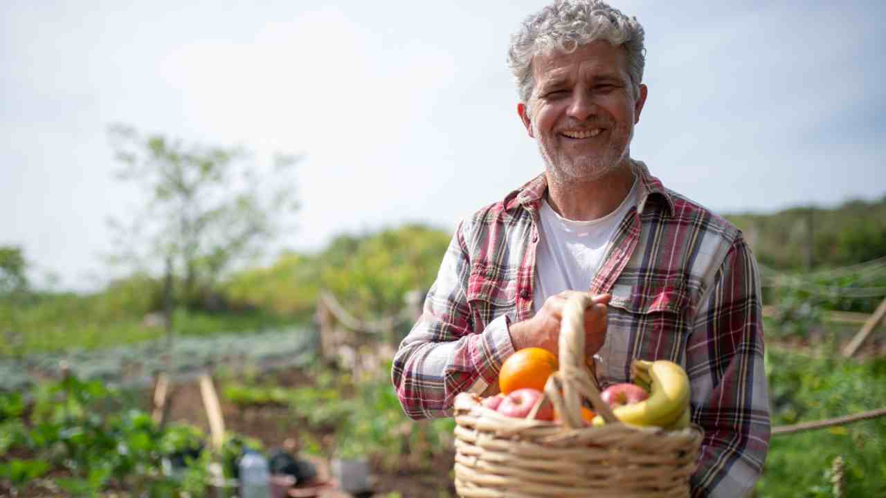 Che frutta mangiare dopo i 60 anni per stare in salute