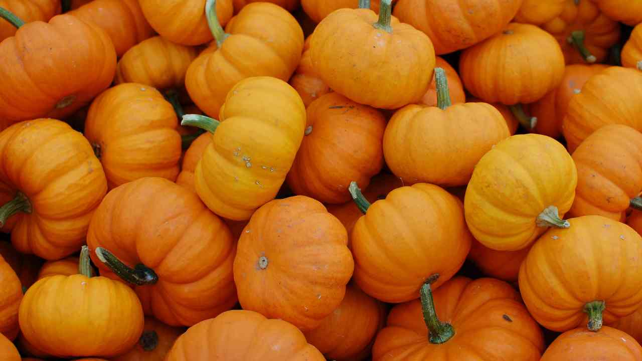 Zucca benefici e controindicazioni quali sono e perché mangiarla