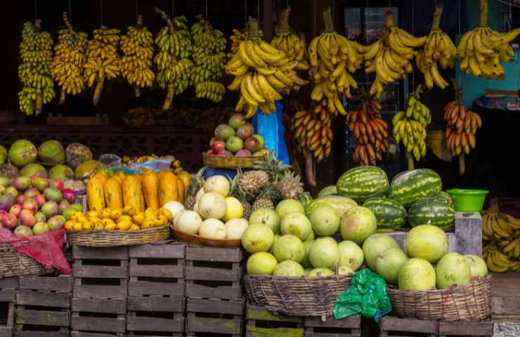 frutta esotica 500 ettari sud Italia