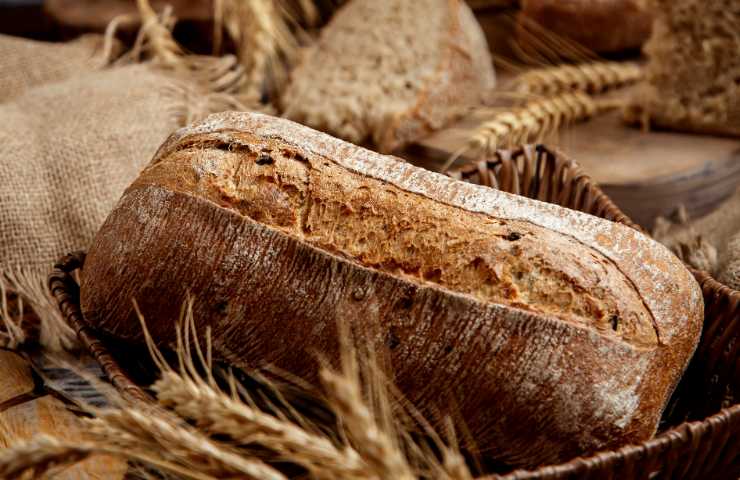 pane integrale calorie