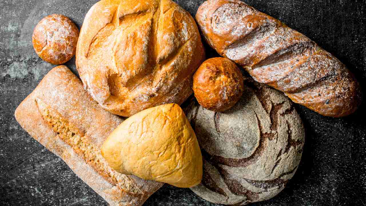 tipi di pane