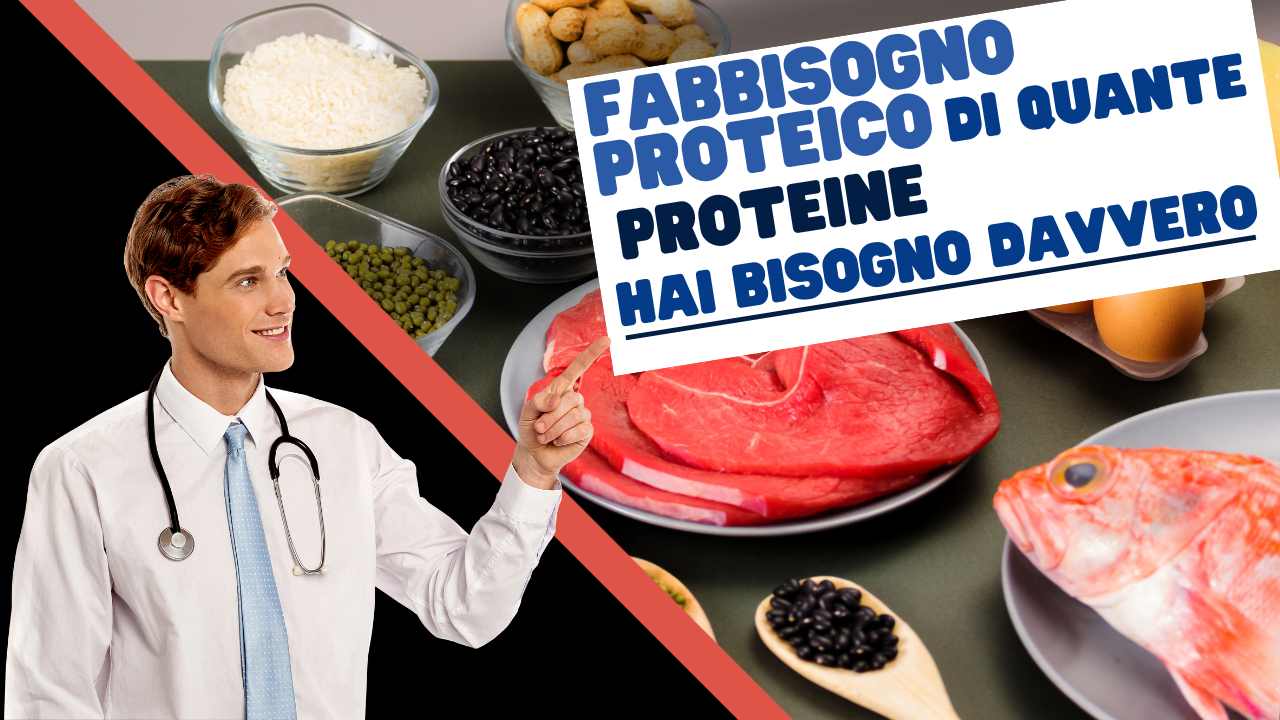 fabbisogno proteico adulto