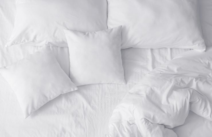 cuscini bianchi