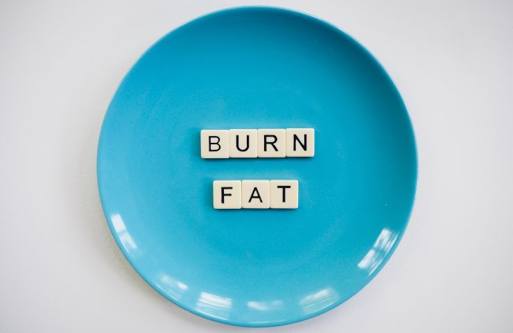 ricerca scienziati americani test farmaco brucia grassi senza attività fisica