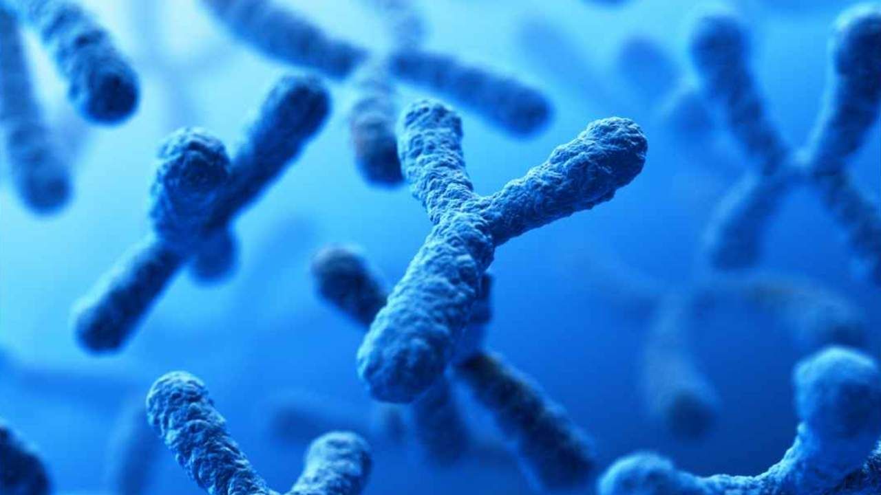 sequenziamento cromosoma maschile cosa comporta