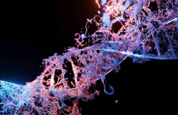 studio cromosoma maschile Y scoperte genoma umano