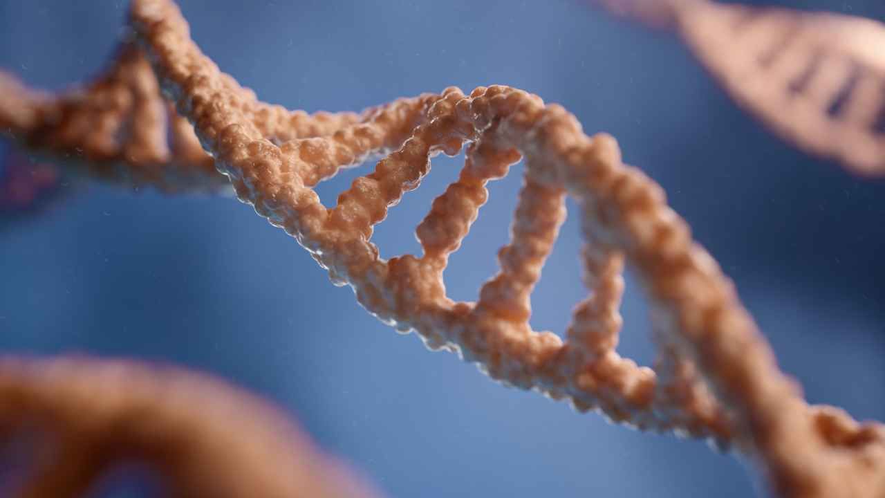 sequenziamento completo cromosoma Y DNA