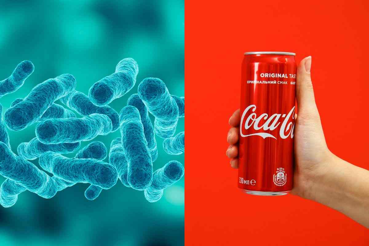 legionella coca cola