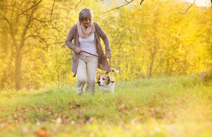 cane beneficio