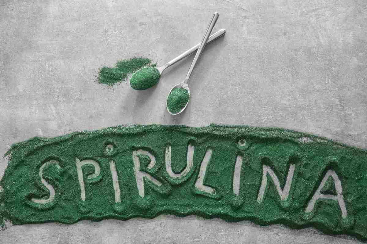 alga spirulina