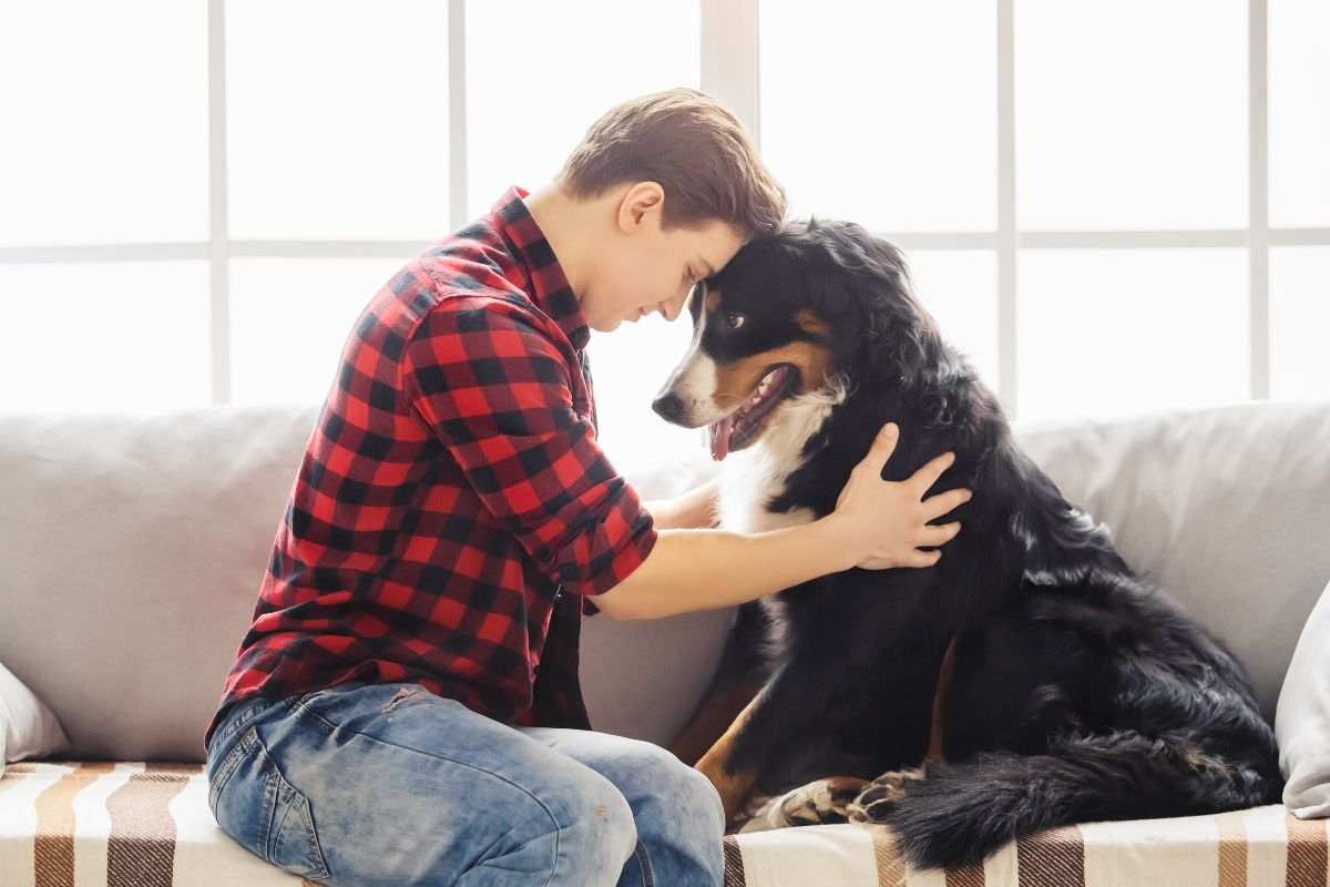 cane stress ricerca