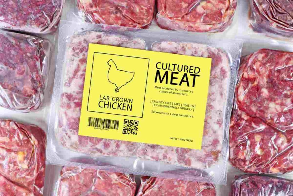 Carne coltivata in laboratorio con un mix di pollo e vegetali ufficialmente in vendita a Singapore