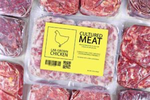 Carne coltivata in laboratorio con un mix di pollo e vegetali ufficialmente in vendita a Singapore