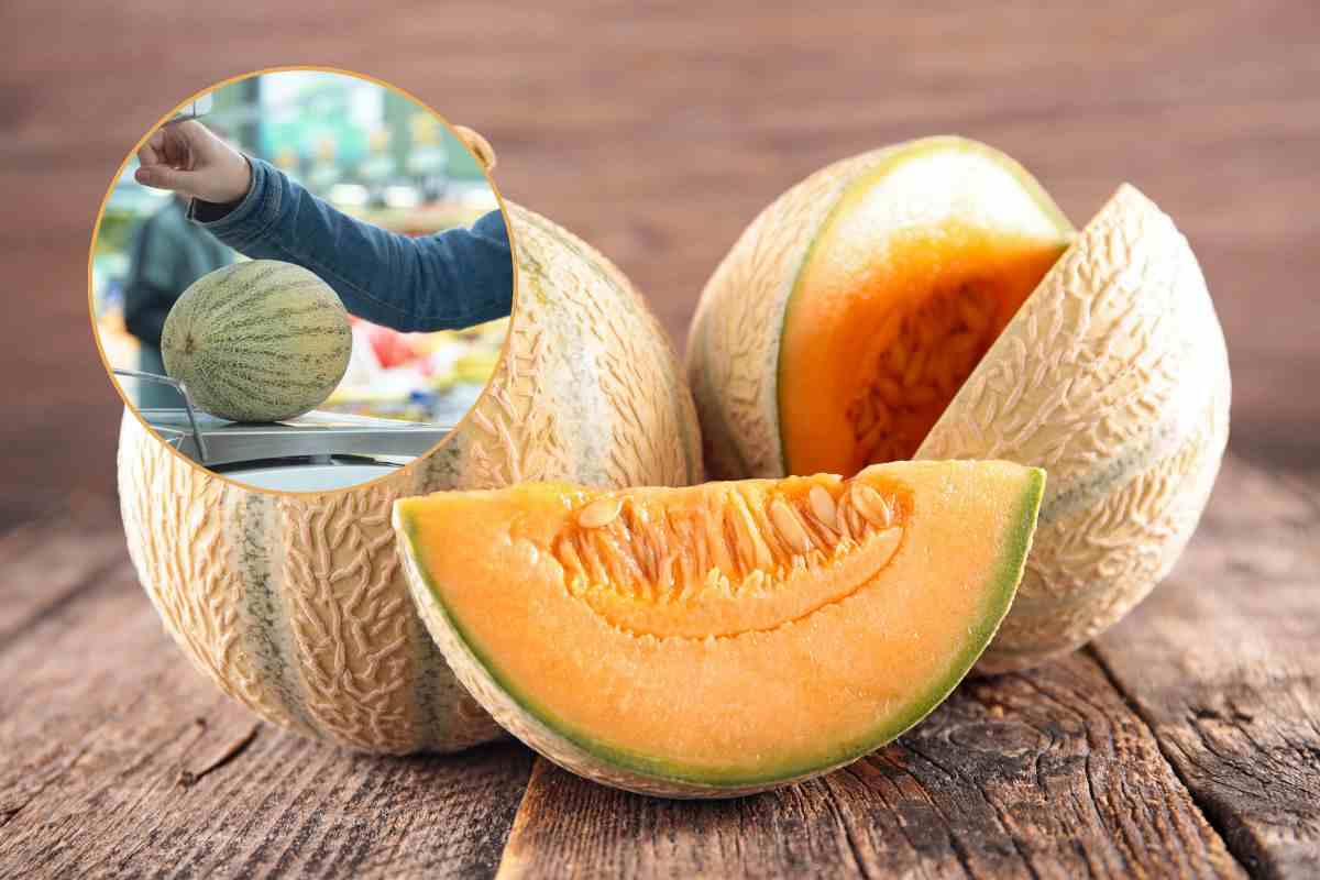Melone