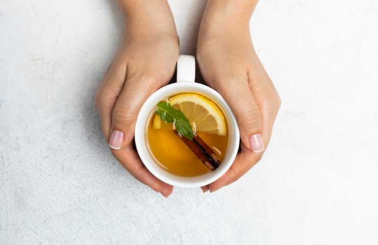tisana con limone e alloro