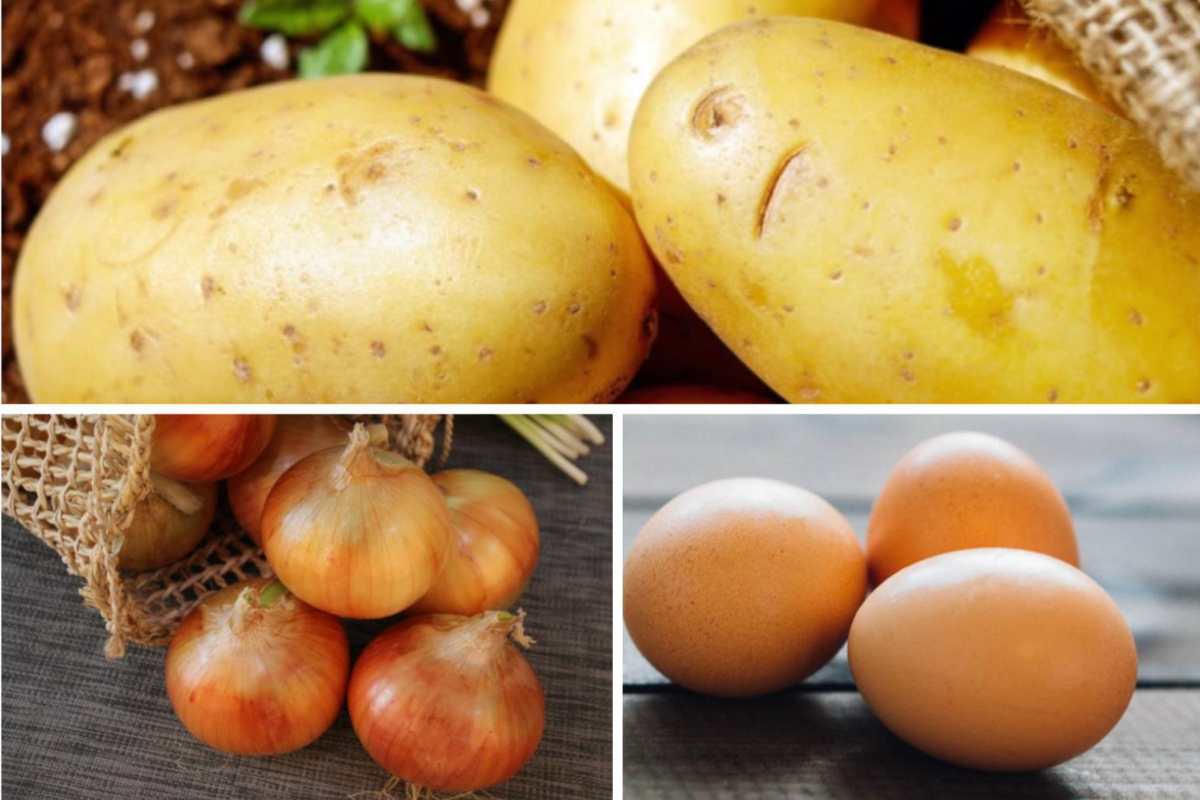 Conservazione patate