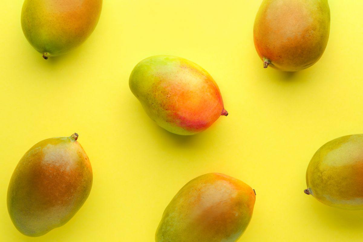 manghi su sfondo giallo