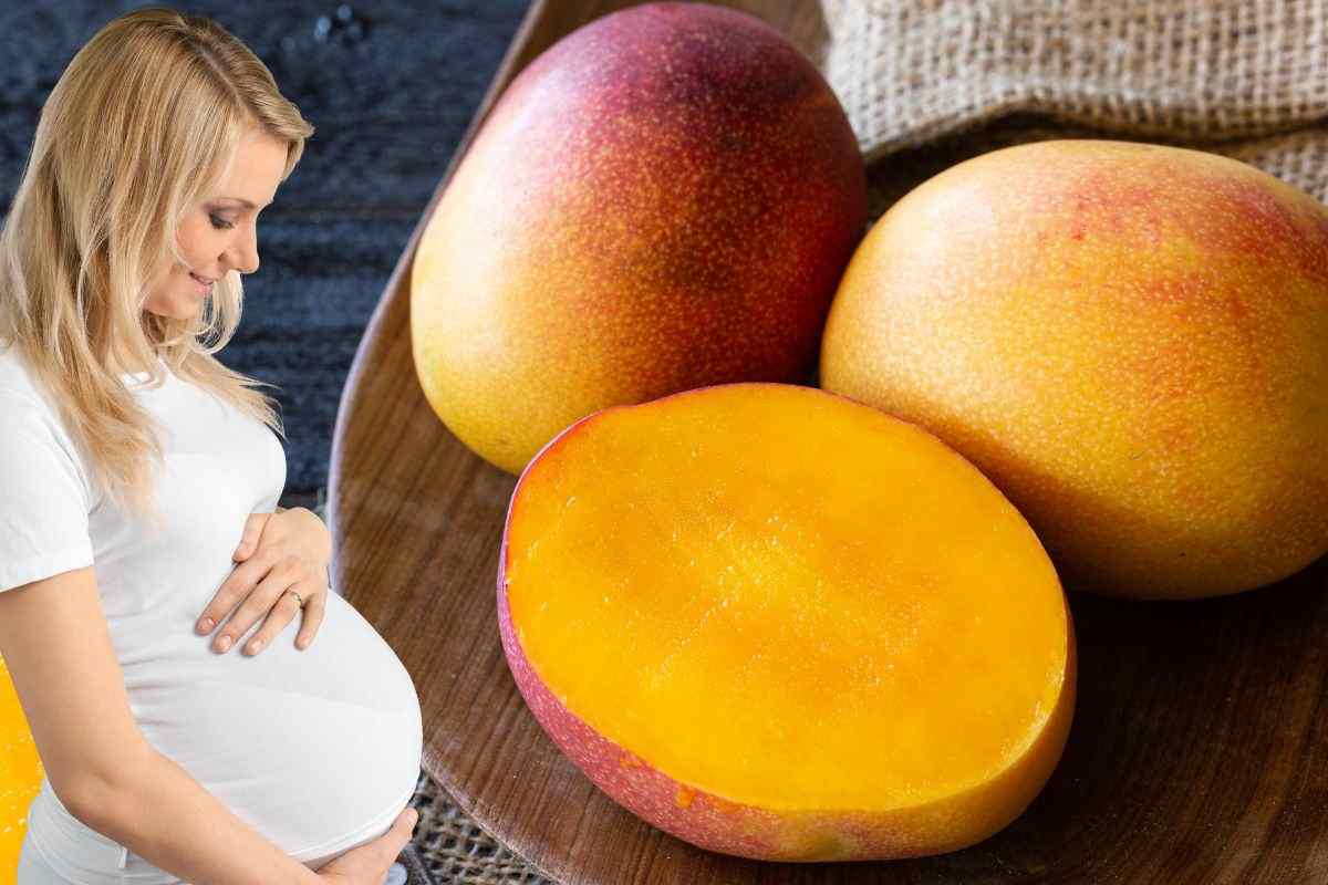 mango in gravidanza